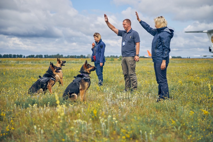 À quel âge commencer l'éducation canine ?